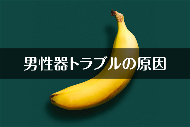 �j����g���u���̌���